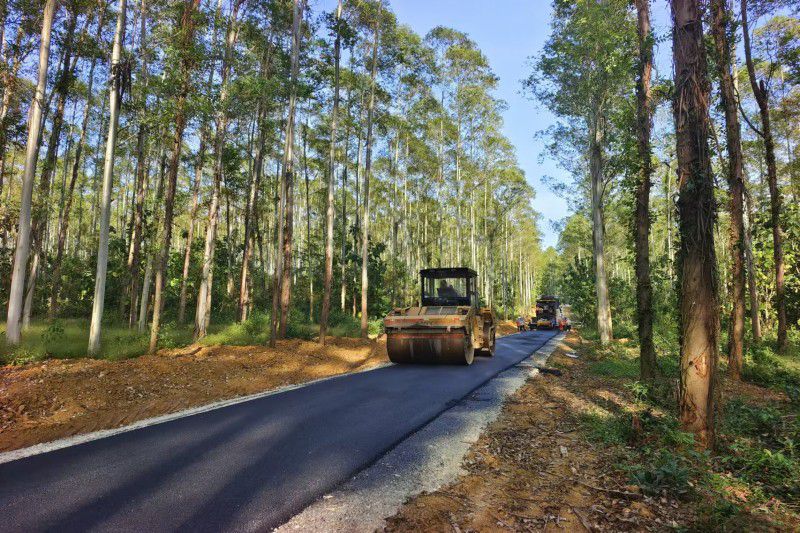 東門林場(chǎng) (1).jpg