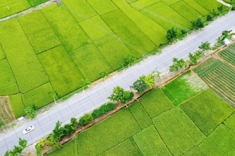 1741144866483289.jpg 承養(yǎng)的平南公路養(yǎng)護(hù)中心2023-2025年公路小修保養(yǎng)項(xiàng)目.jpg