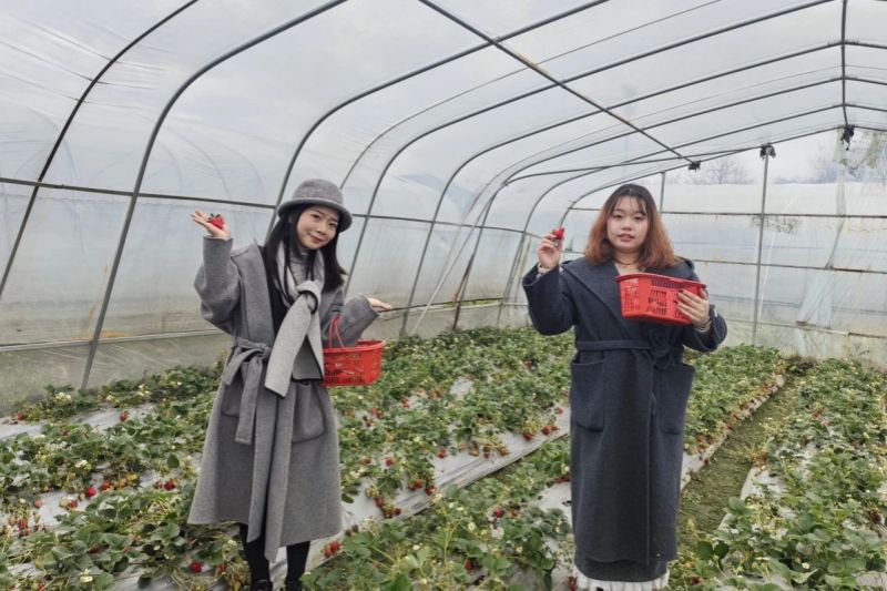 1741658480118023.jpg 婦女節(jié)活動(dòng) (5).jpg